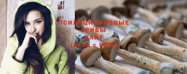 кристаллы Зеленокумск