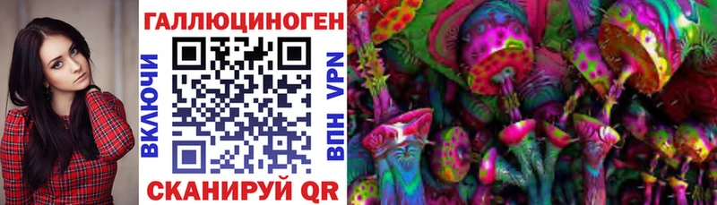 Псилоцибиновые грибы прущие грибы  Купить где  Кизляр 