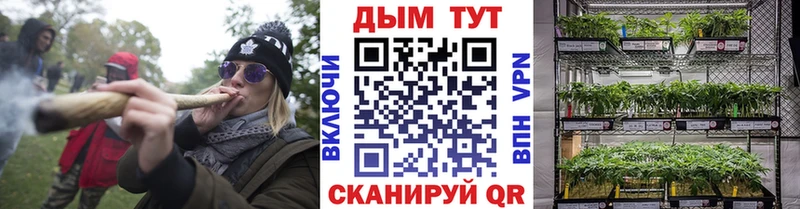 Бошки марихуана Ganja Кизляр