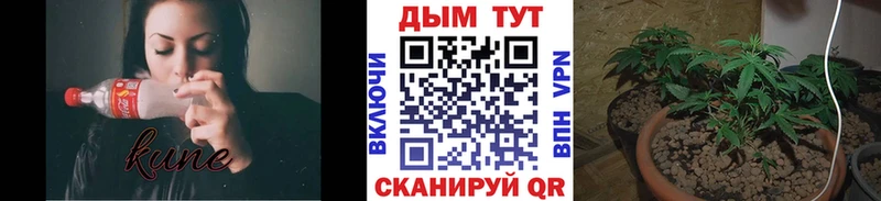 Купить Кизляр Канабис Ganja
